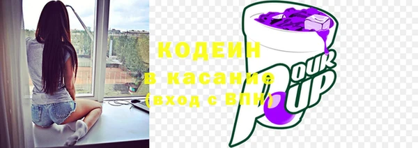 индика Алзамай