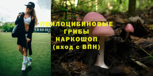 не бодяженный Арсеньев