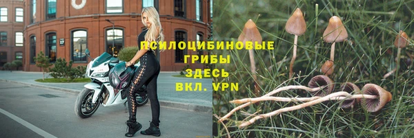 не бодяженный Арсеньев