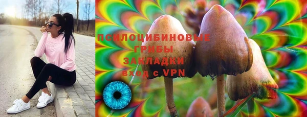 индика Алзамай