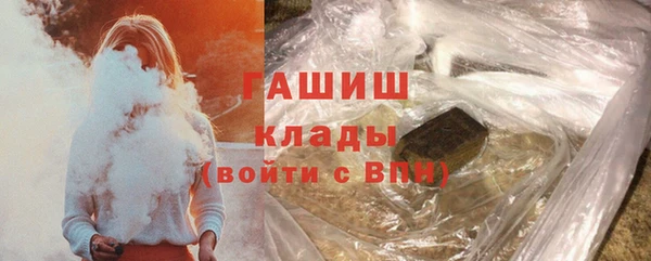 индика Алзамай