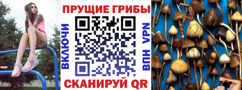 магазин    Печоры  Галлюциногенные грибы мухоморы 